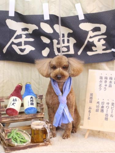 20240626ぷぅくん